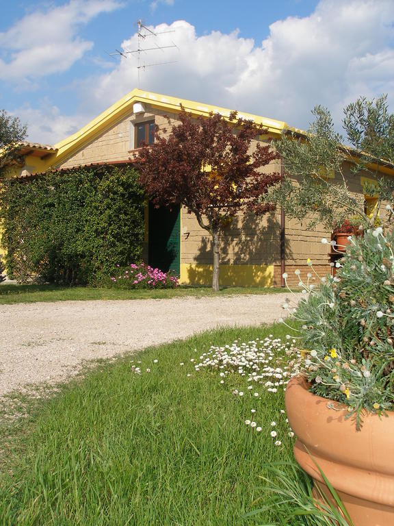 Agriturismo Albarosa-Terre Dell'Amore Marina di Grosseto Zimmer foto